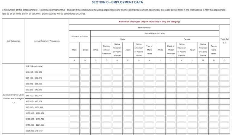 Eeo 1 Report Template