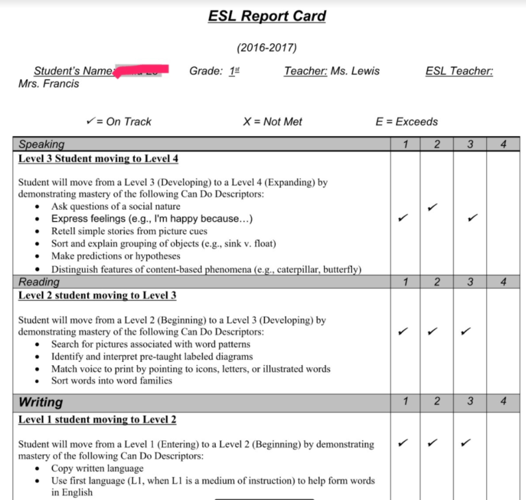 Character Report Card Template