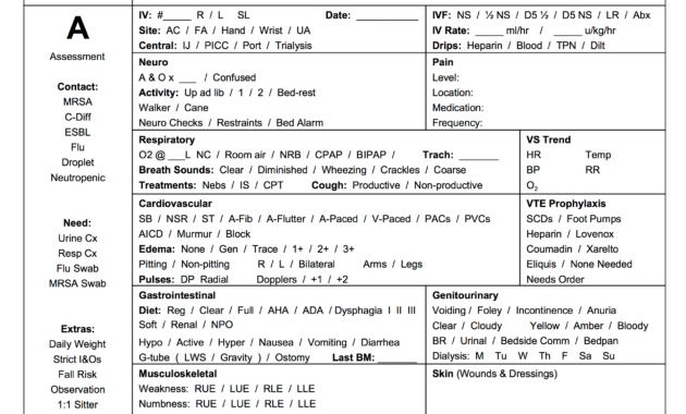 Free Download! This Is A Full-Size Sbar Nursing Brain Report inside ...